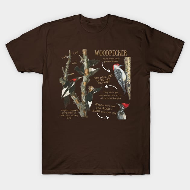 Animal Facts - Woodpecker T-Shirt by Animal Facts and Trivias